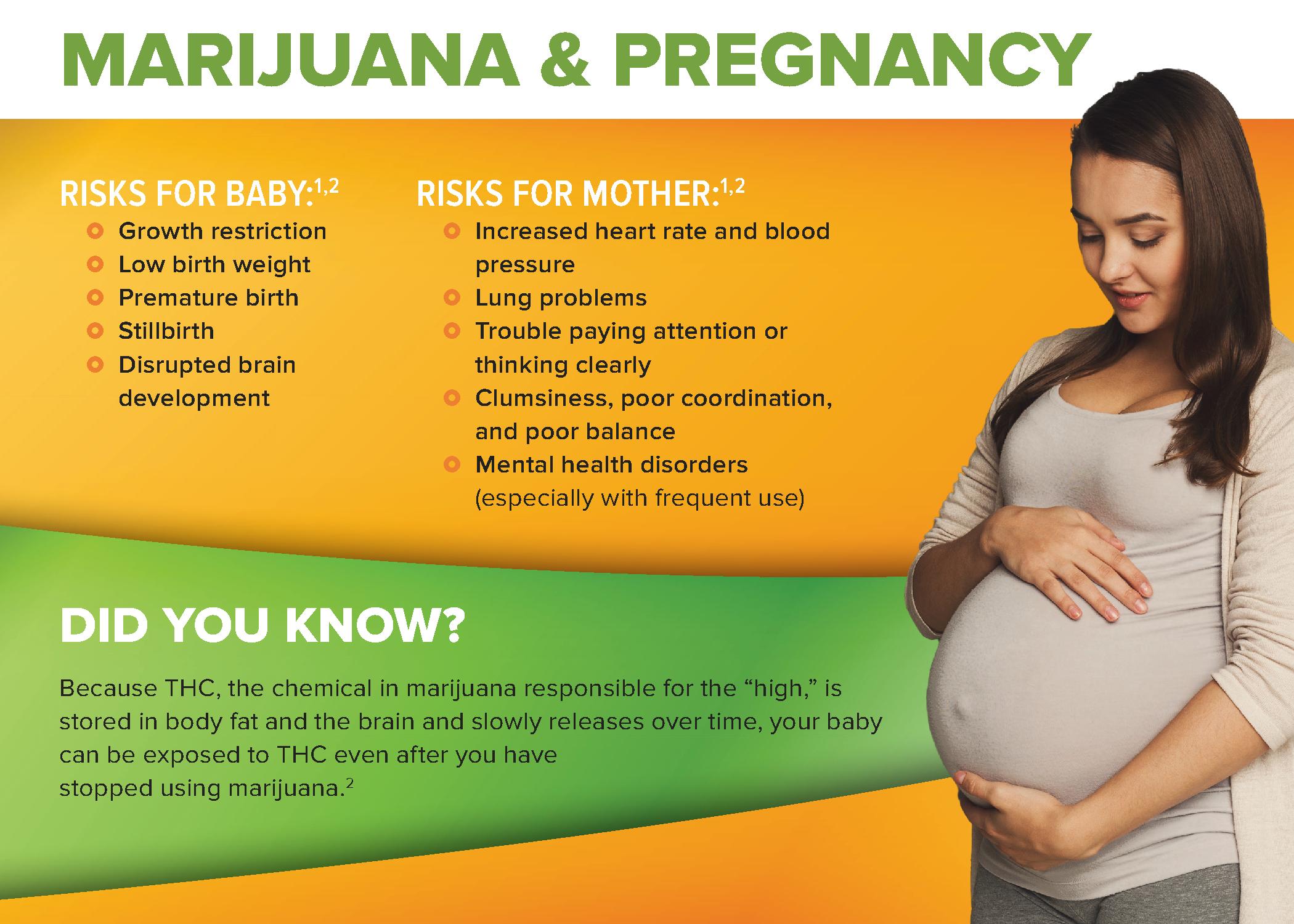 TBHG_BayCityHealthDept_BluntFacts-PregCard-H_1